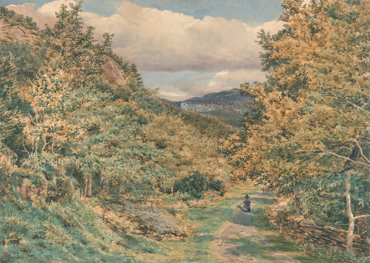Une route près de Bettws-y-Coed - George Price Boyce