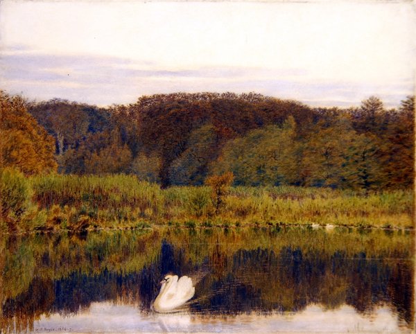 Étang du moulin d'Abinger, Surrey, matin en fin d'automne