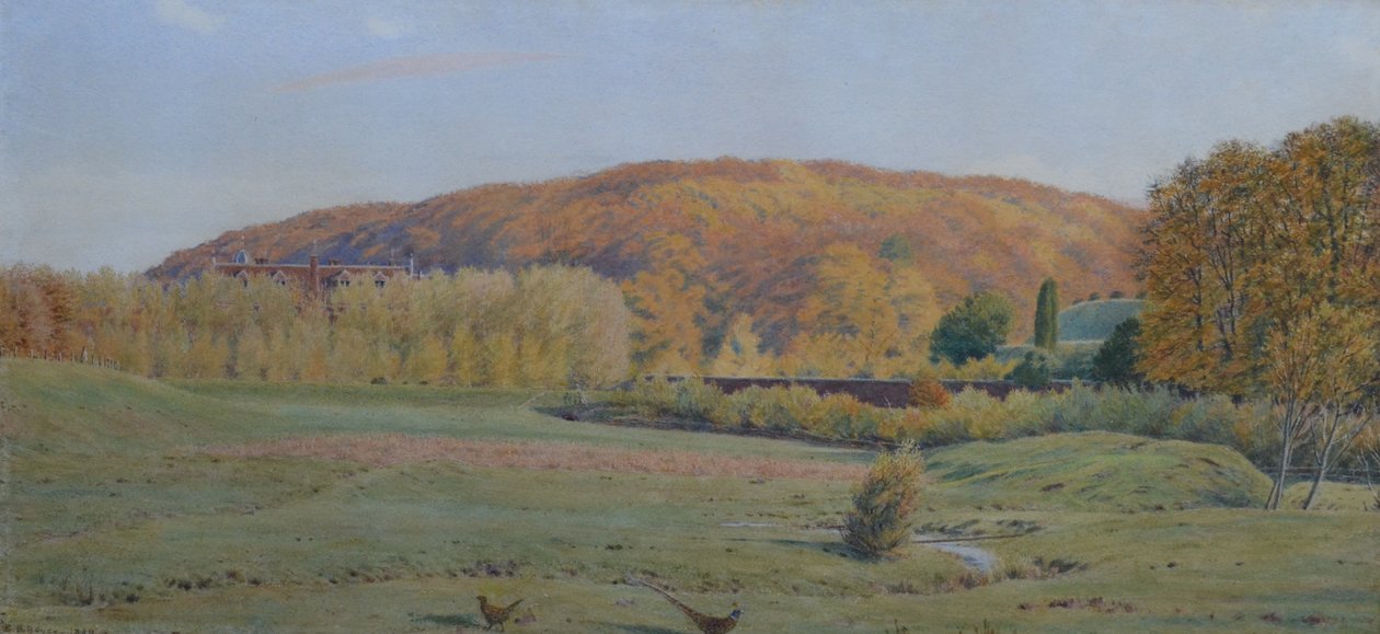 Maison Wotton, Surrey - George Price Boyce