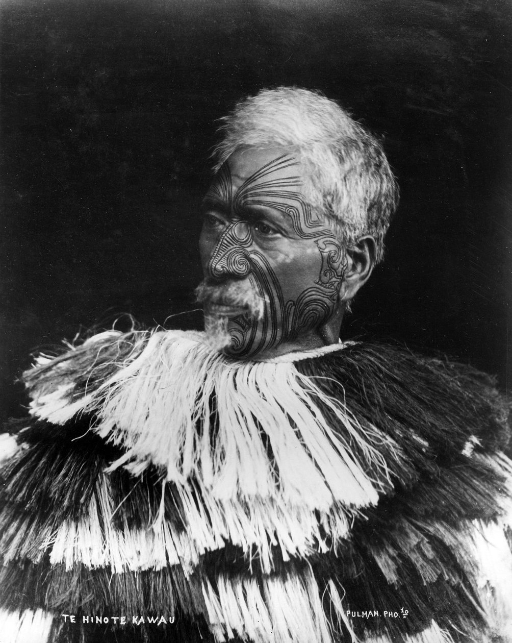 Te Hinote Kawau, c.1860-71 - George Pulman