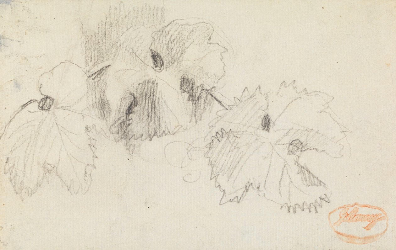 Étude des feuilles 1 - George Romney