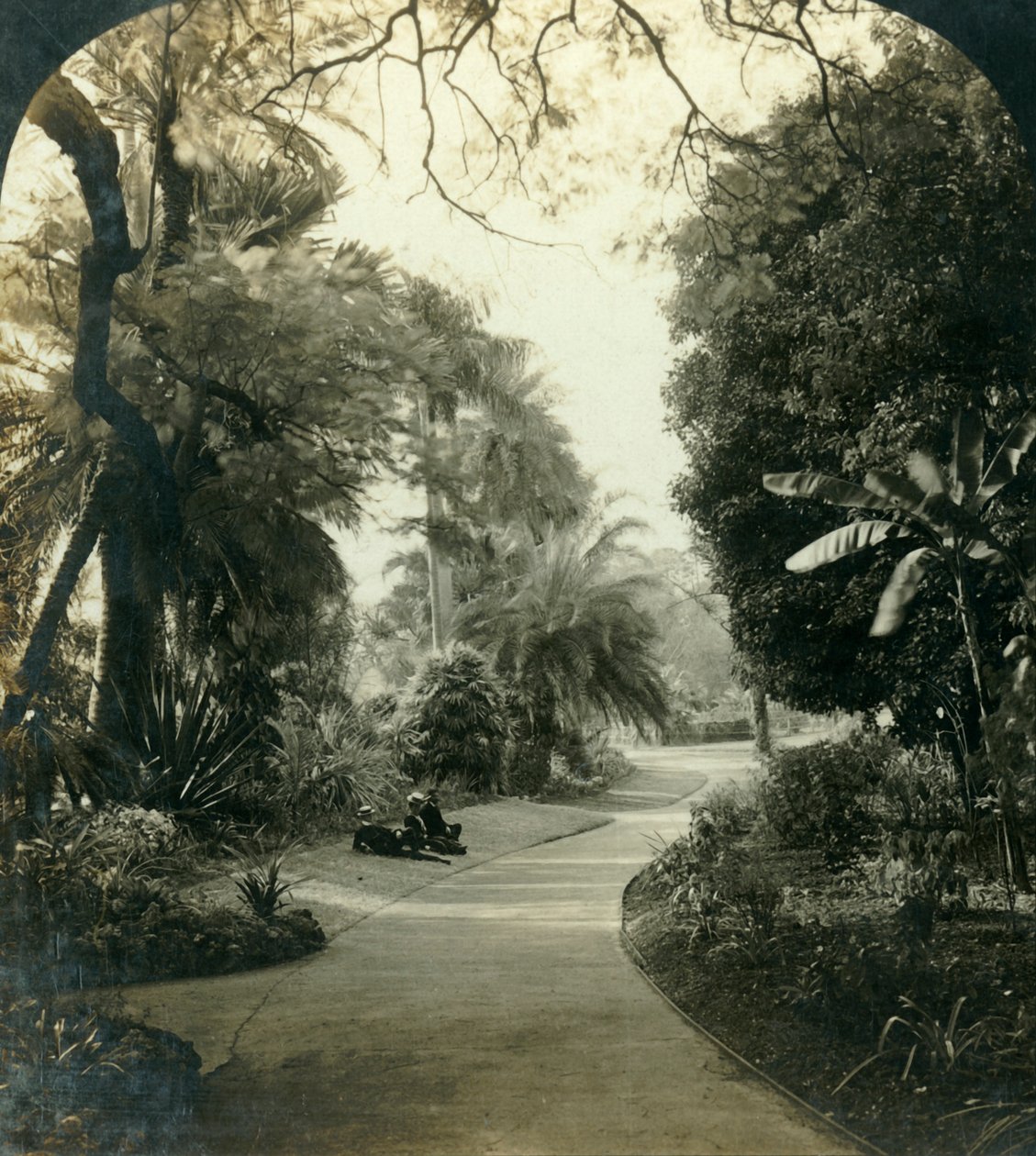 Sentier dans le Queens Park, Brisbane, Australie, vers 1909 - George Rose