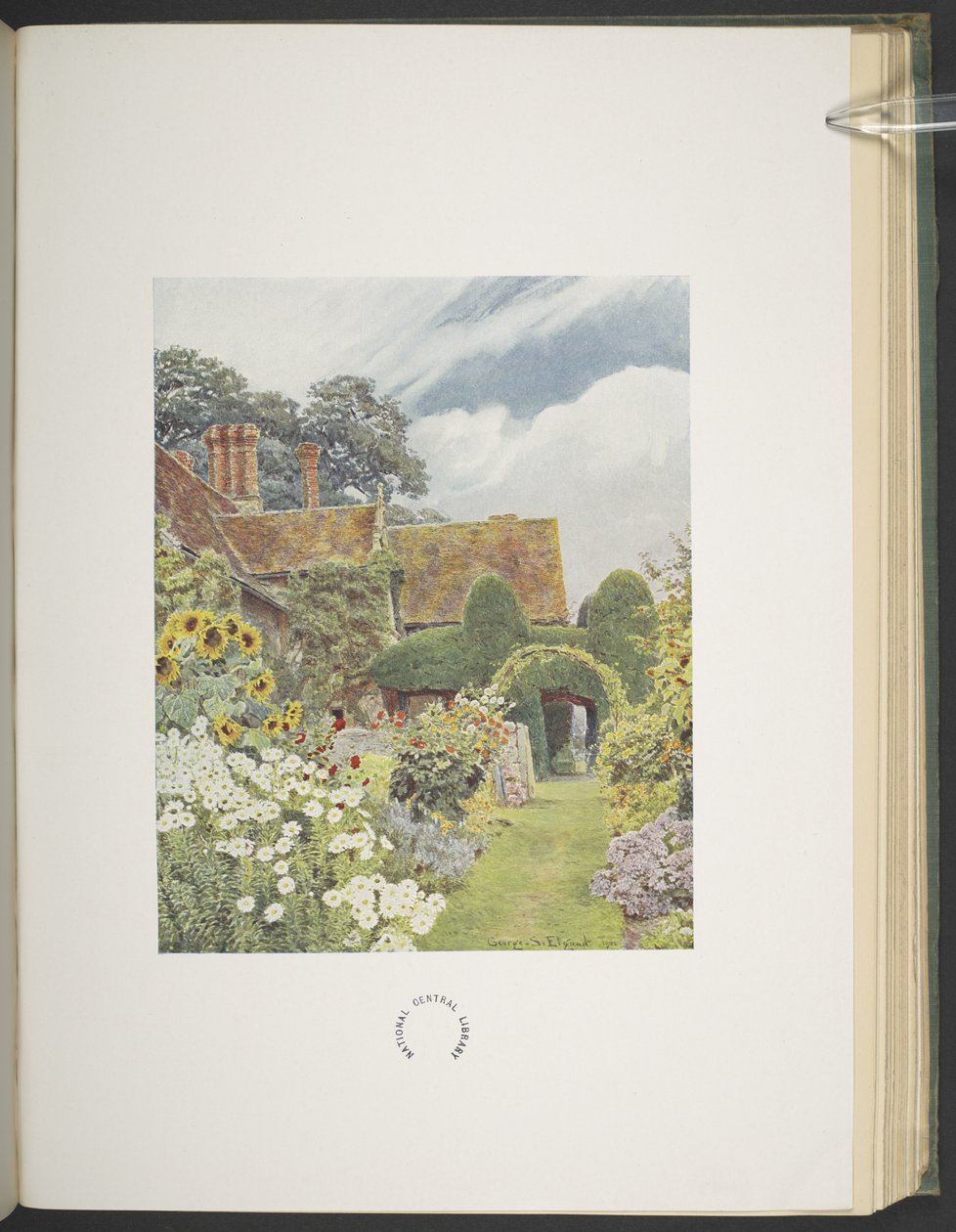 Cleeve Prior, Tournesols, illustration dans 