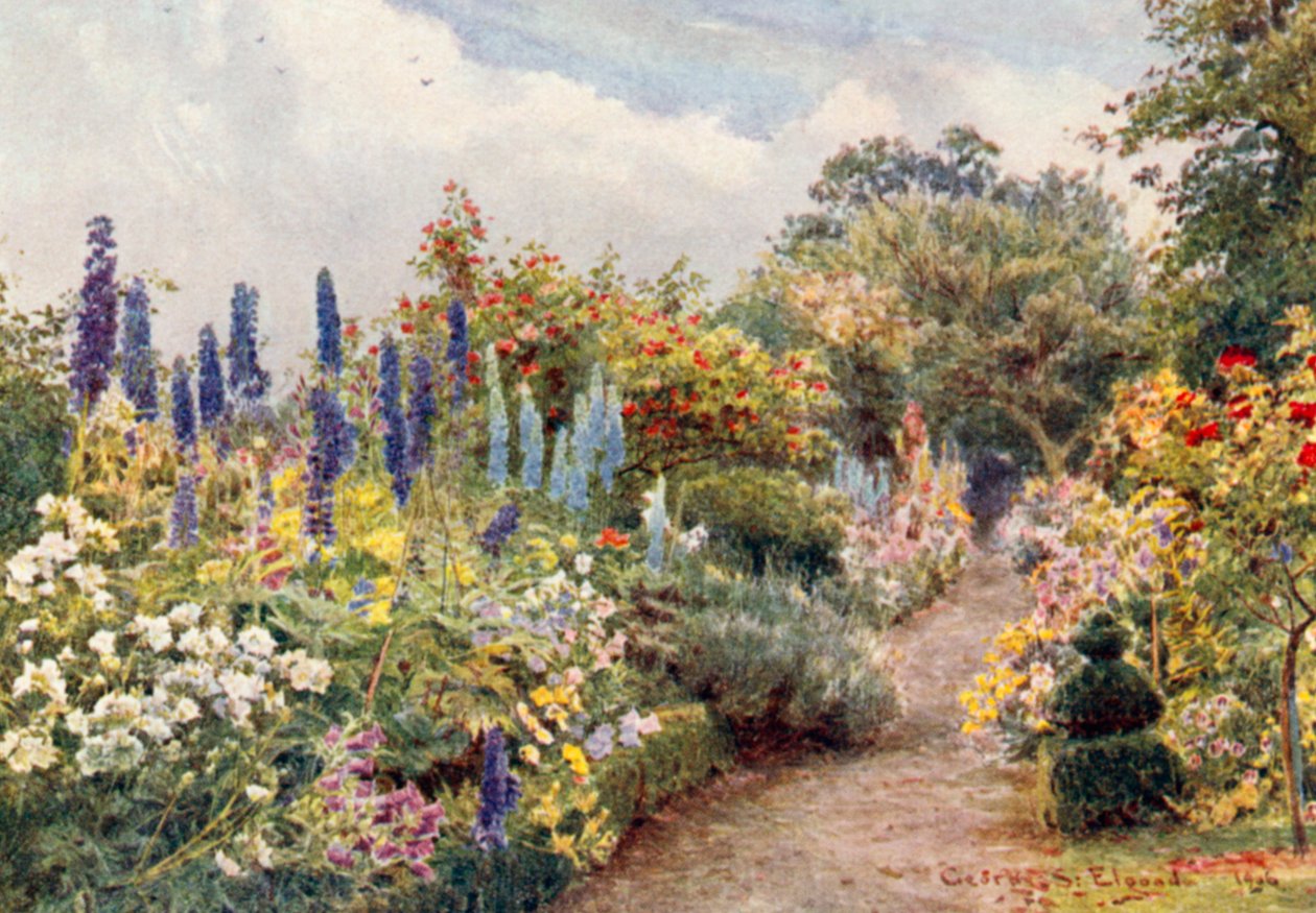 Larkspurs (lithographie couleur) - George Samuel Elgood