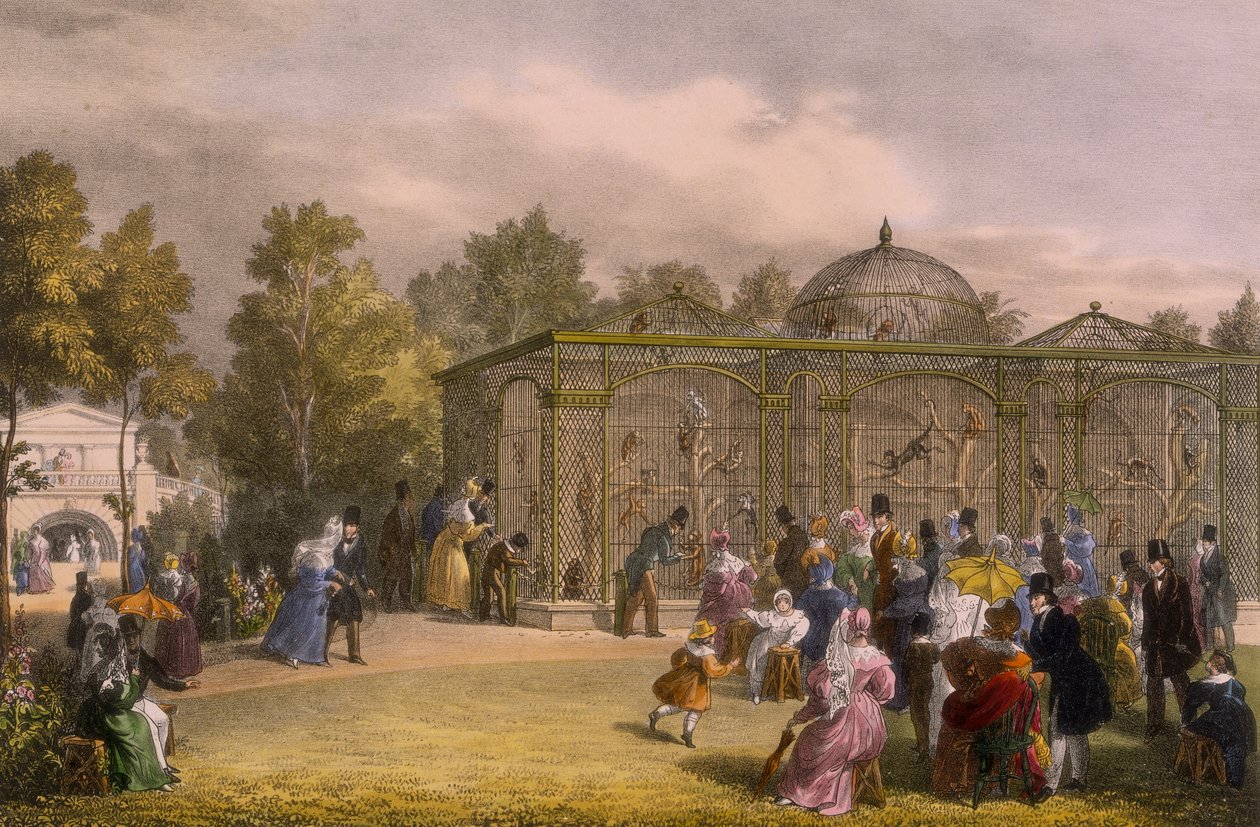 La Maison des Singes aux Jardins Zoologiques, Regent