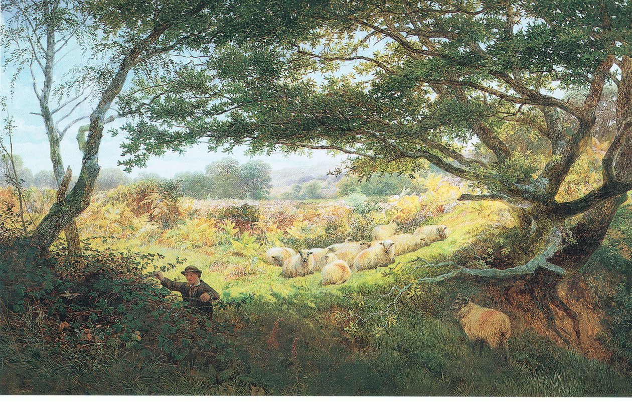 Le garçon berger - George Shalders