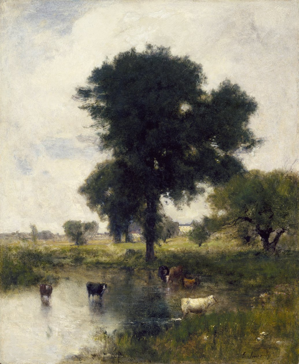 Bétail dans une piscine (paysage d