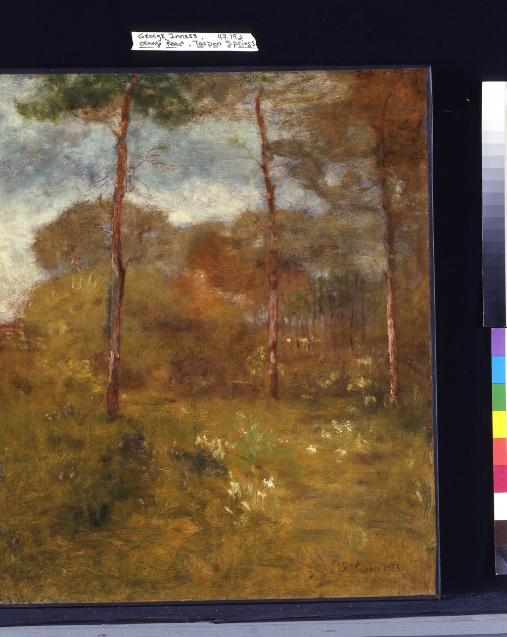 Route Orange, Tarpon Springs | George Snr. Inness