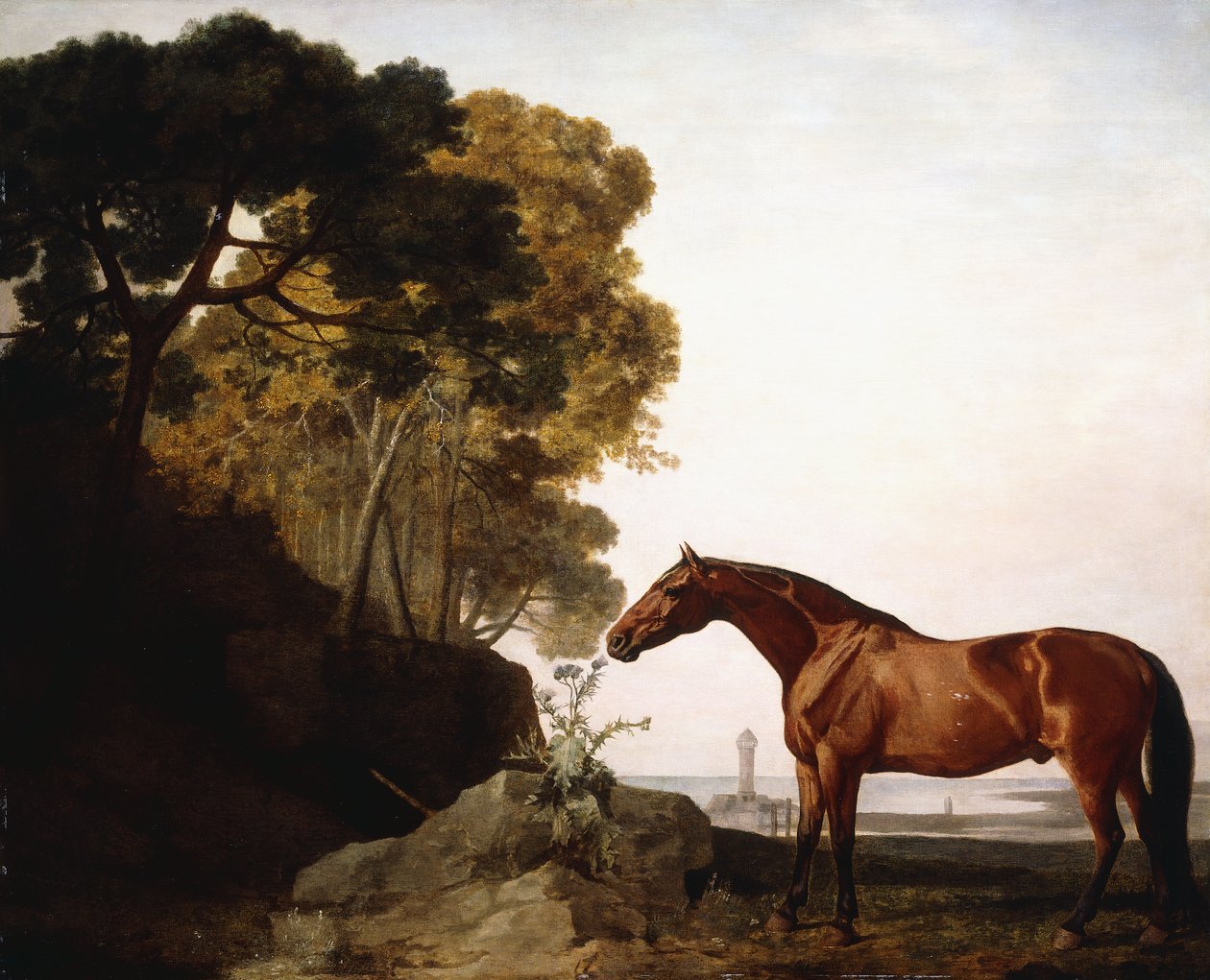 Un Arabe de la baie dans un paysage côtier, 1779 - George Stubbs