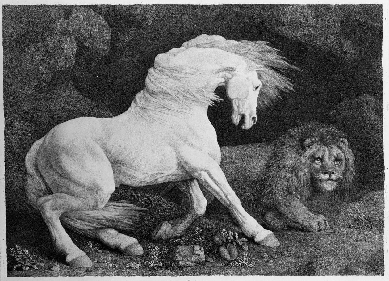 Un cheval effrayé par un lion, gravé par l
