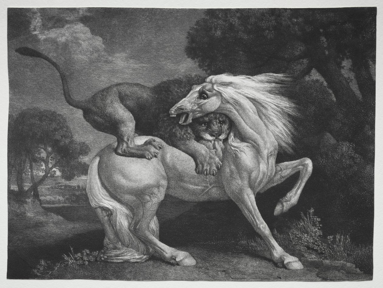 Un cheval attaqué par un lion, 1788 - George Stubbs