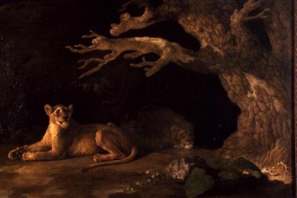 Un lion et une lionne - George Stubbs