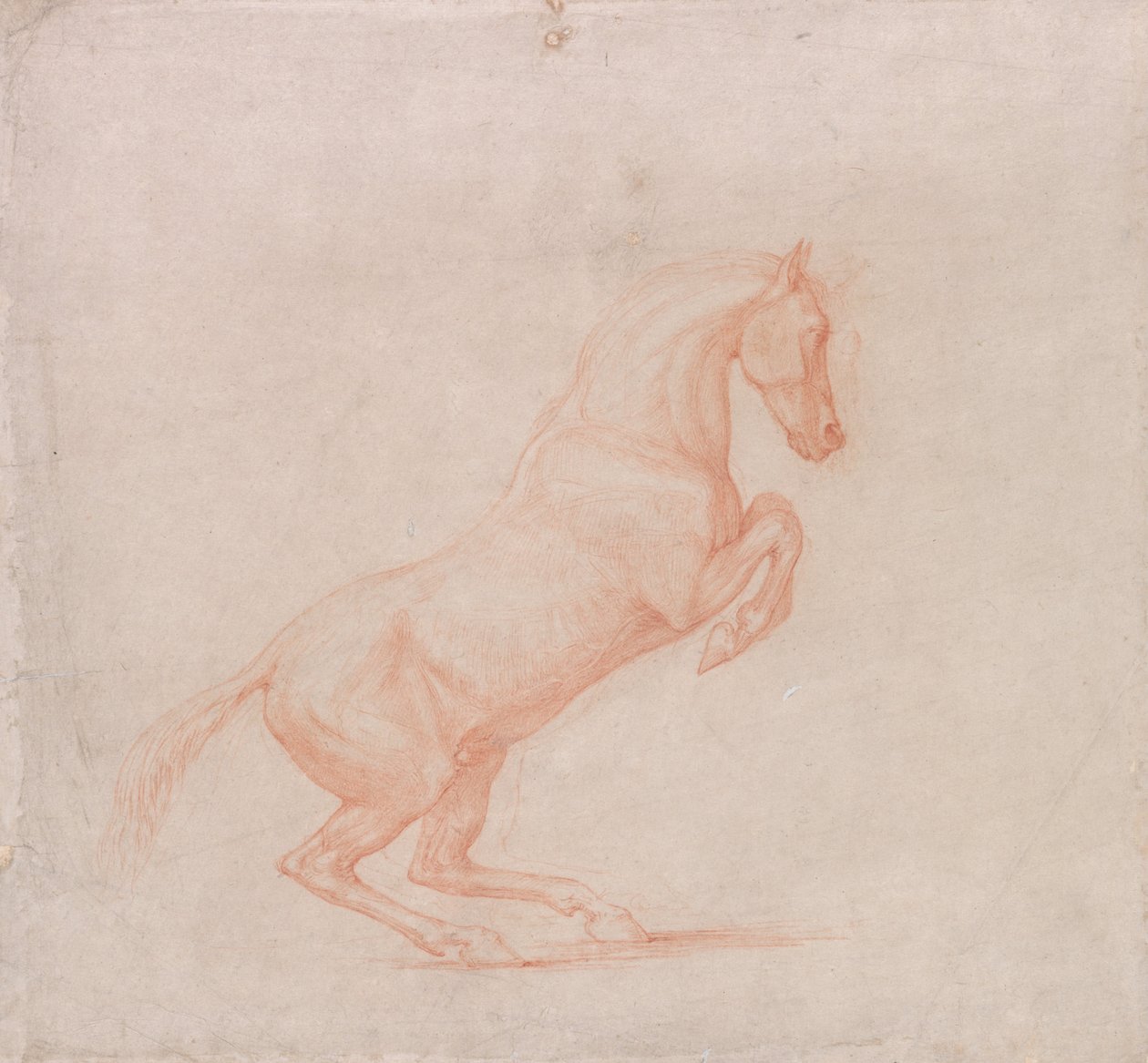 Un cheval cabré, tourné vers la droite - George Stubbs