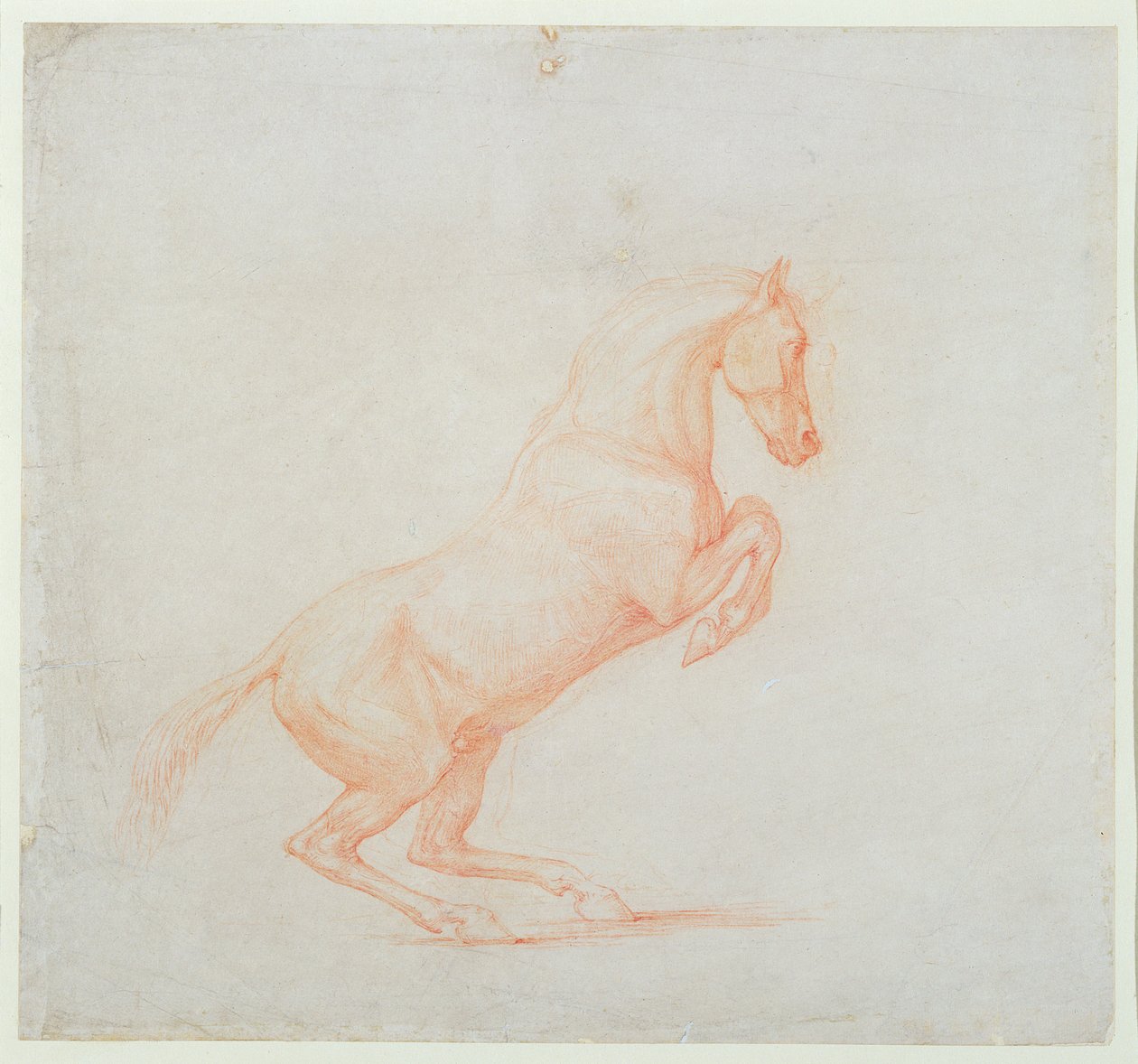 Un cheval cabré, tourné vers la droite, 1790 - George Stubbs