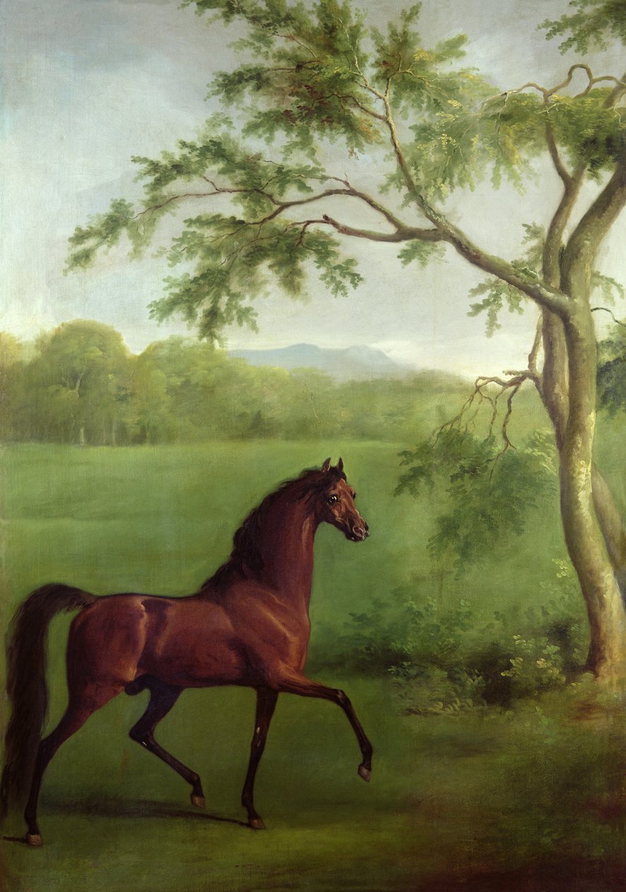 Un étalon arabe sous un arbre - George Stubbs