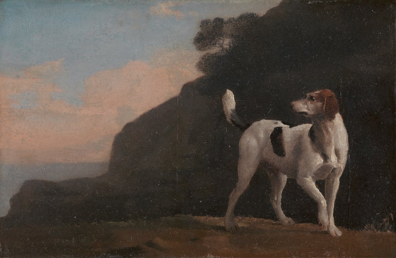 Foxhound, vers 1760 - George Stubbs