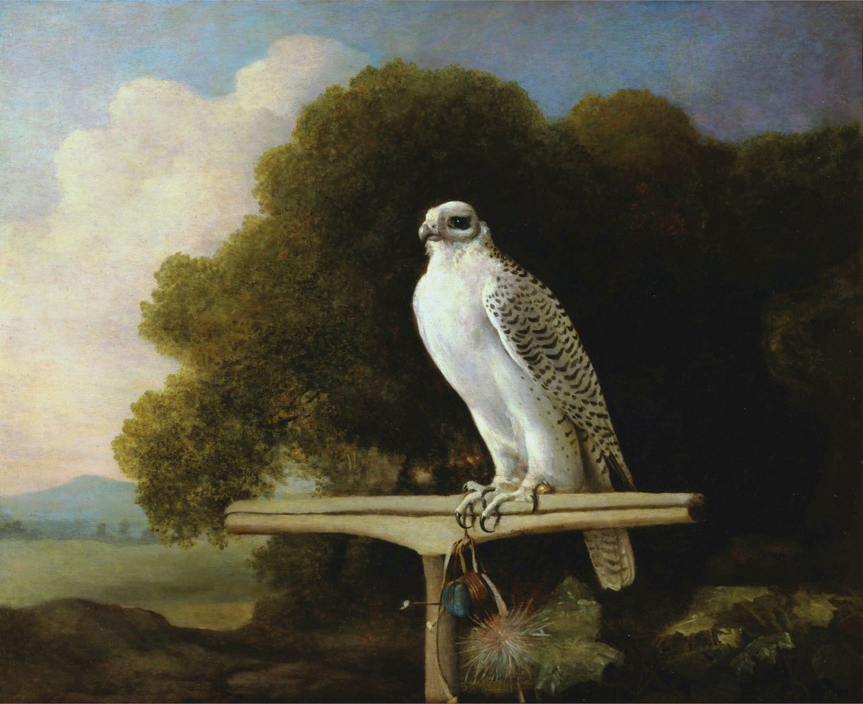 Faucon du Groenland - George Stubbs