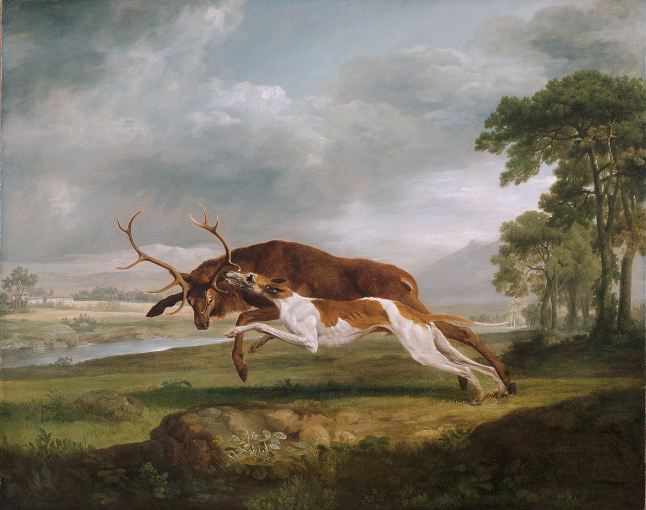 Chien courant un cerf - George Stubbs