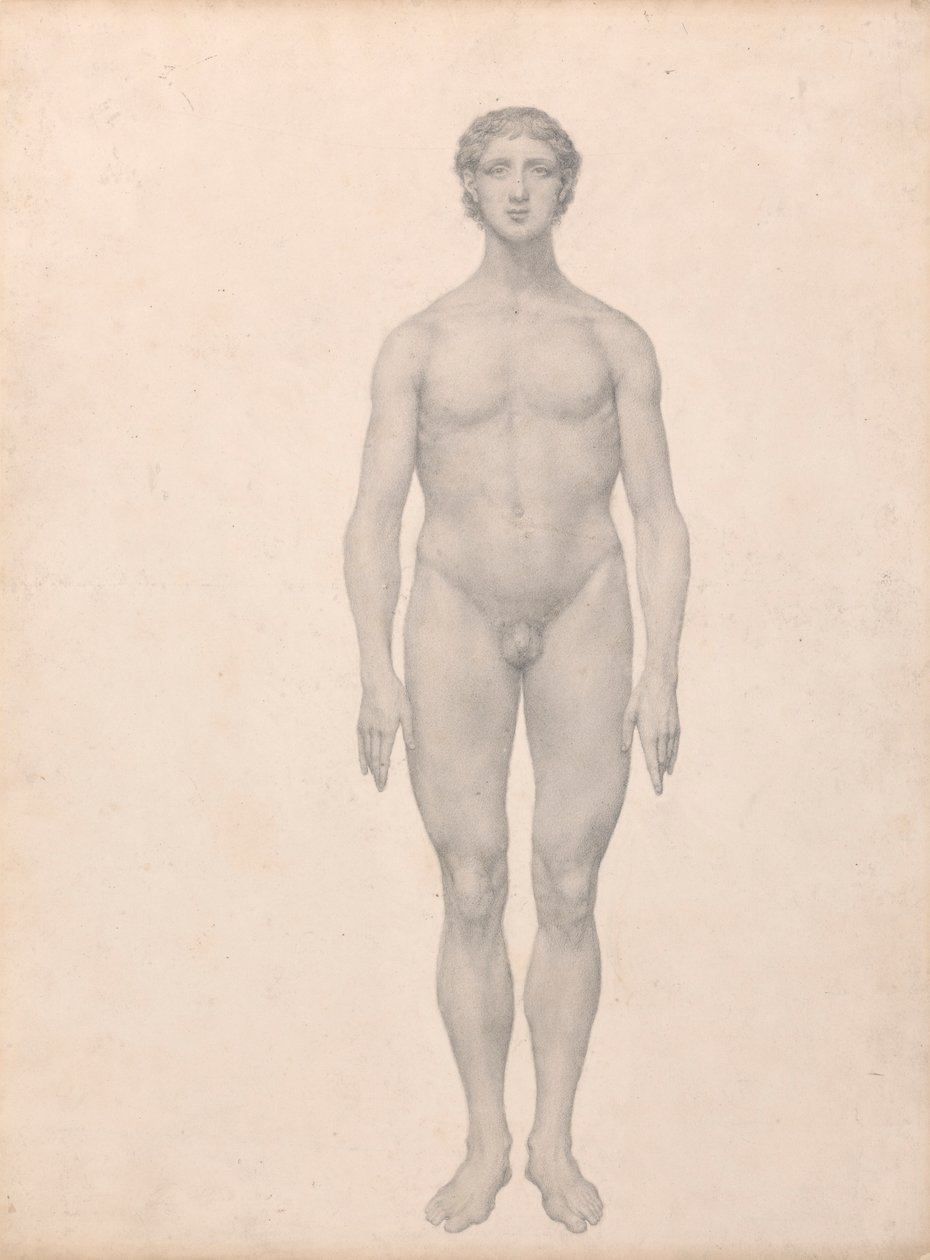 Figure Humaine, Vue Antérieure, Non Disséquée - George Stubbs