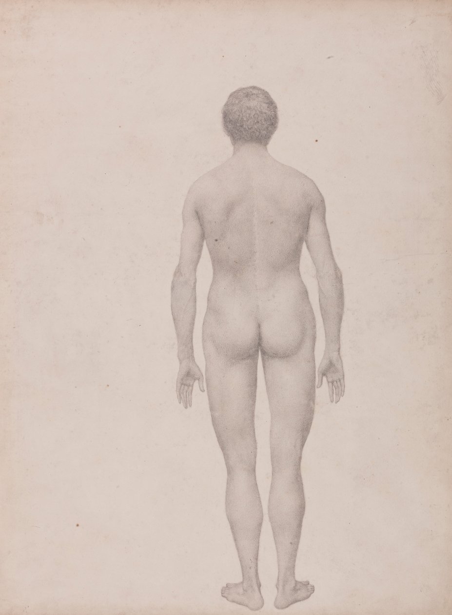 Figure humaine, vue postérieure, non disséquée (étude finie pour la table VII) - George Stubbs