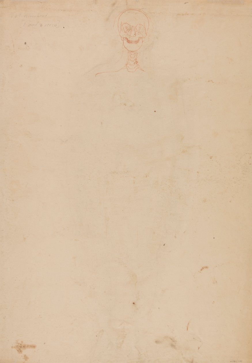 Squelette humain, vue antérieure - George Stubbs