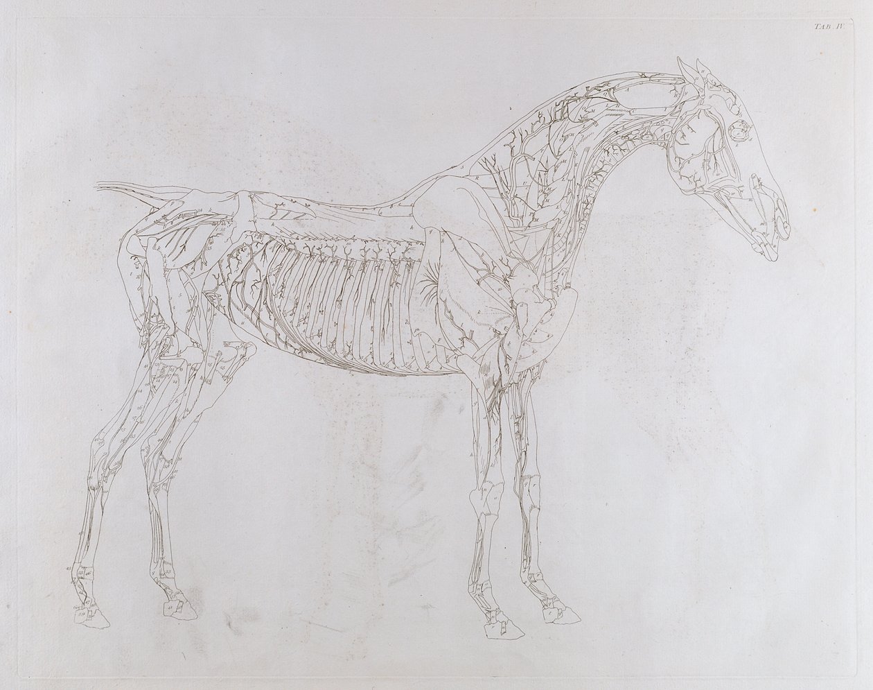 Illustration de 