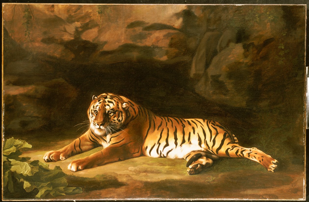 Portrait du tigre royal, vers 1770 - George Stubbs