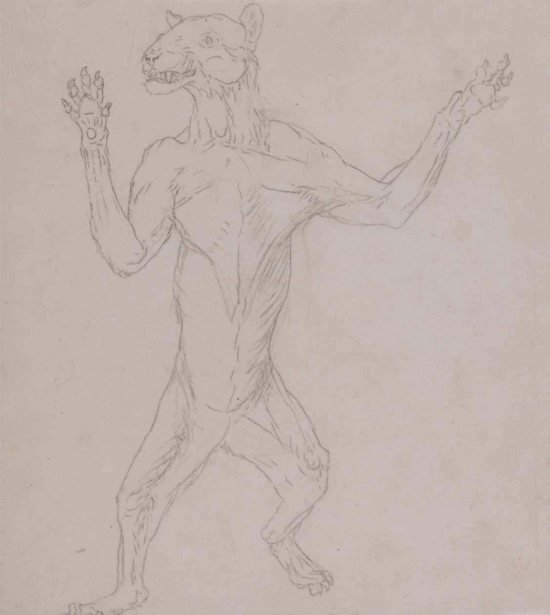 Corps de tigre, debout en posture humaine - George Stubbs