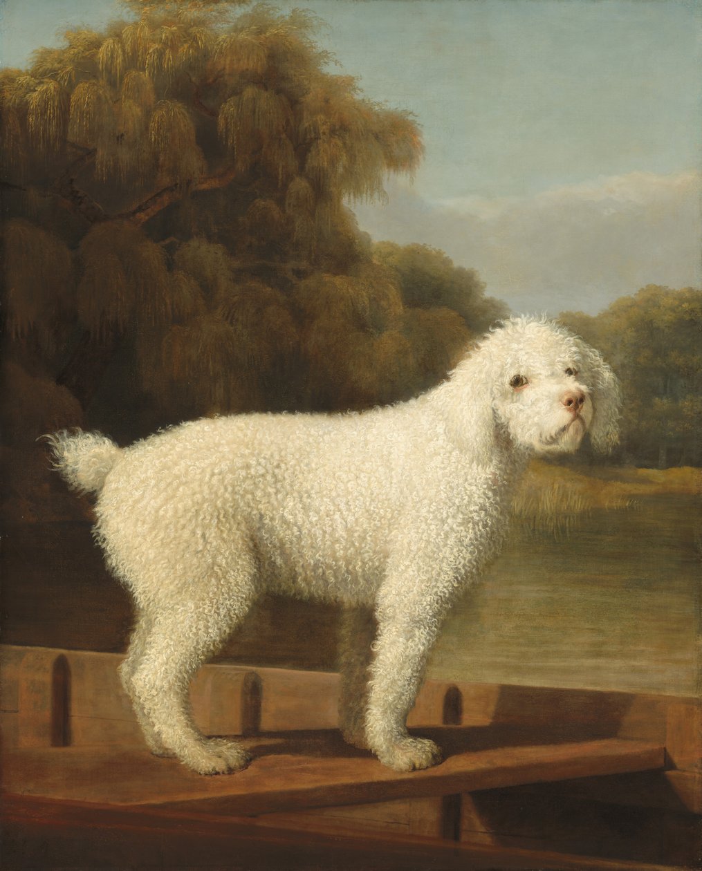 Caniche blanc dans une barque, vers 1780 - George Stubbs