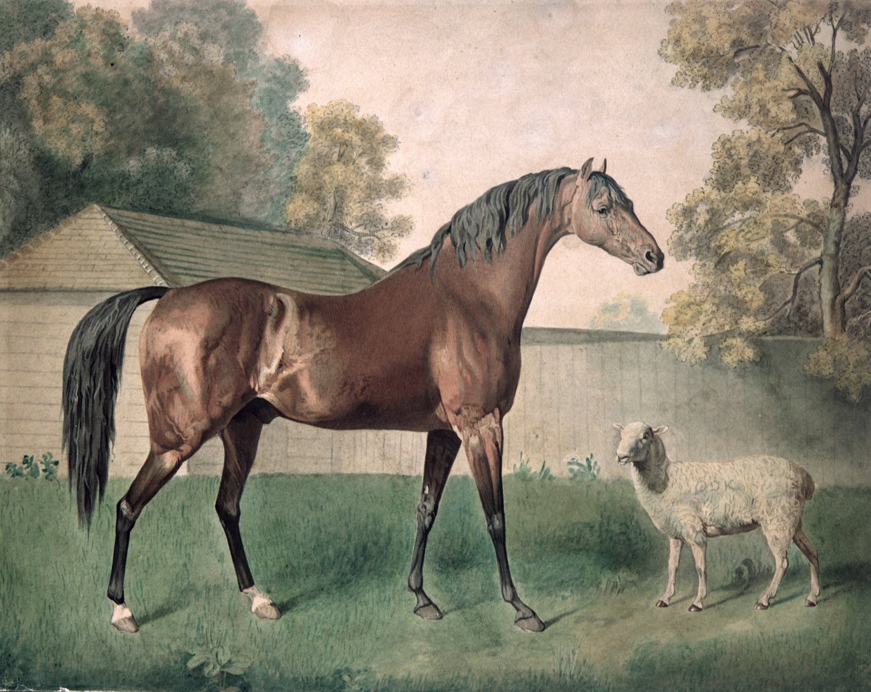 Dungannon - George Townley Stubbs