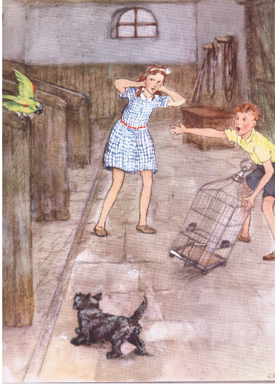 Le perroquet a commencé à dire des grossièretés, extrait de Pets Limited publié par Collins - George Vernon Stokes