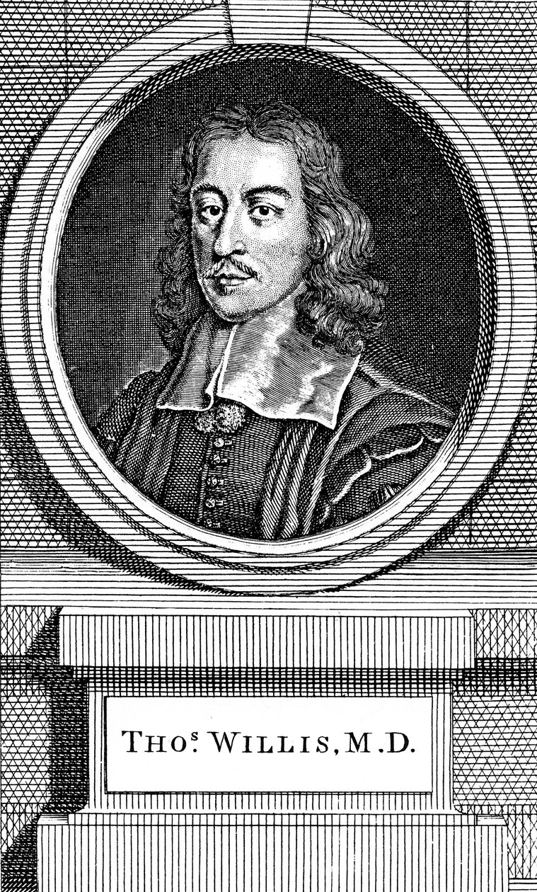 Thomas Willis, médecin anglais du 17ème siècle, 1742 - George Vertue