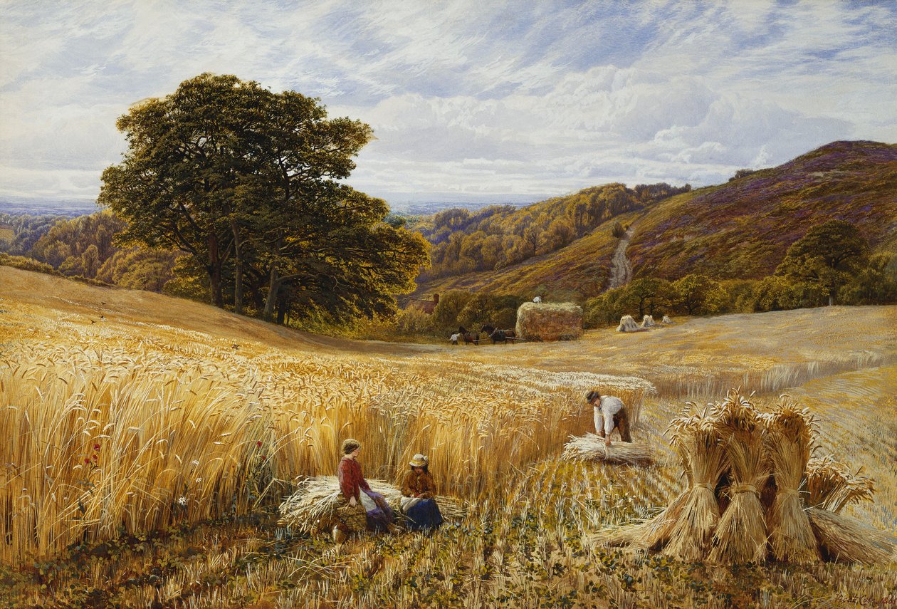Temps de récolte près de Holmbury Hill, Surrey - George Vicat Cole