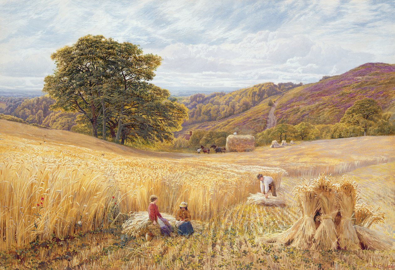 Temps de récolte près de Holmbury Hill, Surrey, 1865 - George Vicat Cole