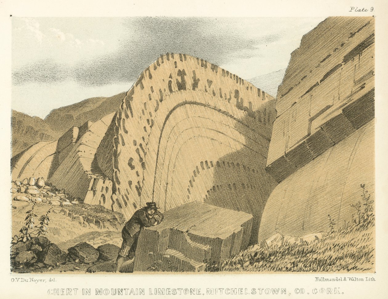 Chert dans le calcaire de montagne, Mitchelstown, Co Cork (gravure en couleur) - George Victor Du Noyer