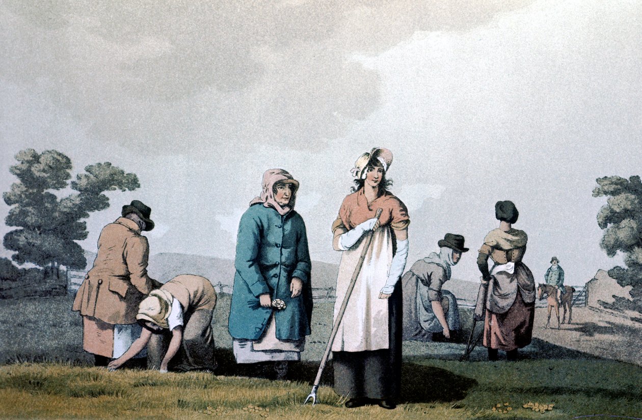Lowkers - femmes qui désherbaient le maïs, 1814 - George Walker of Seacroft
