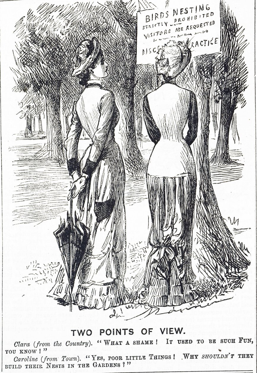 Caricature commentant la loi sur la protection des oiseaux de 1880 - George du Maurier