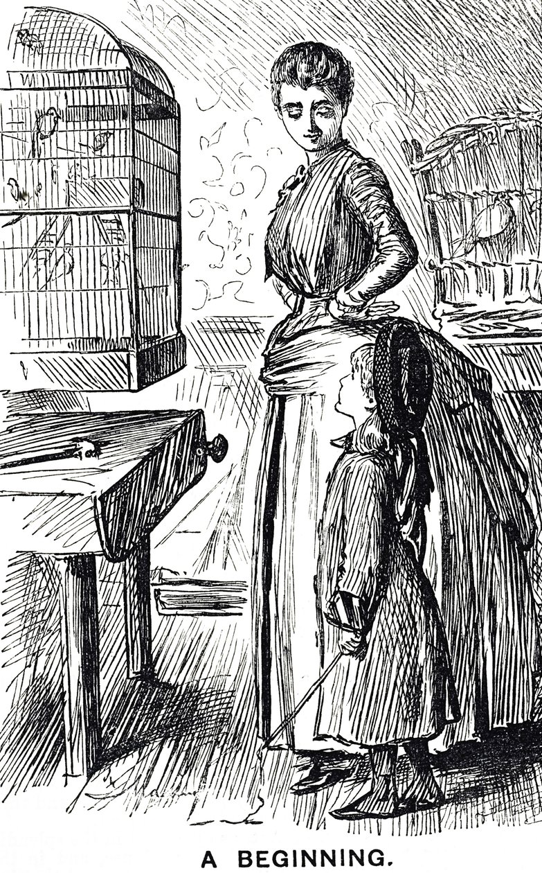 Dessin animé commentant la popularité des oiseaux en cage en Grande-Bretagne - George du Maurier