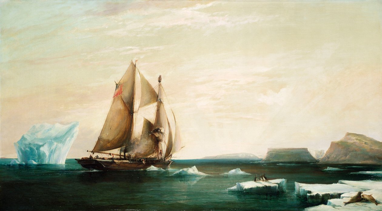 Le yacht 