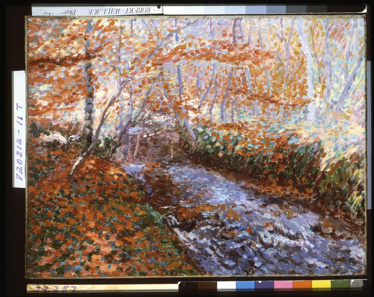 La rivière Briante (intérieur de la forêt en automne) - Georges Lacombe