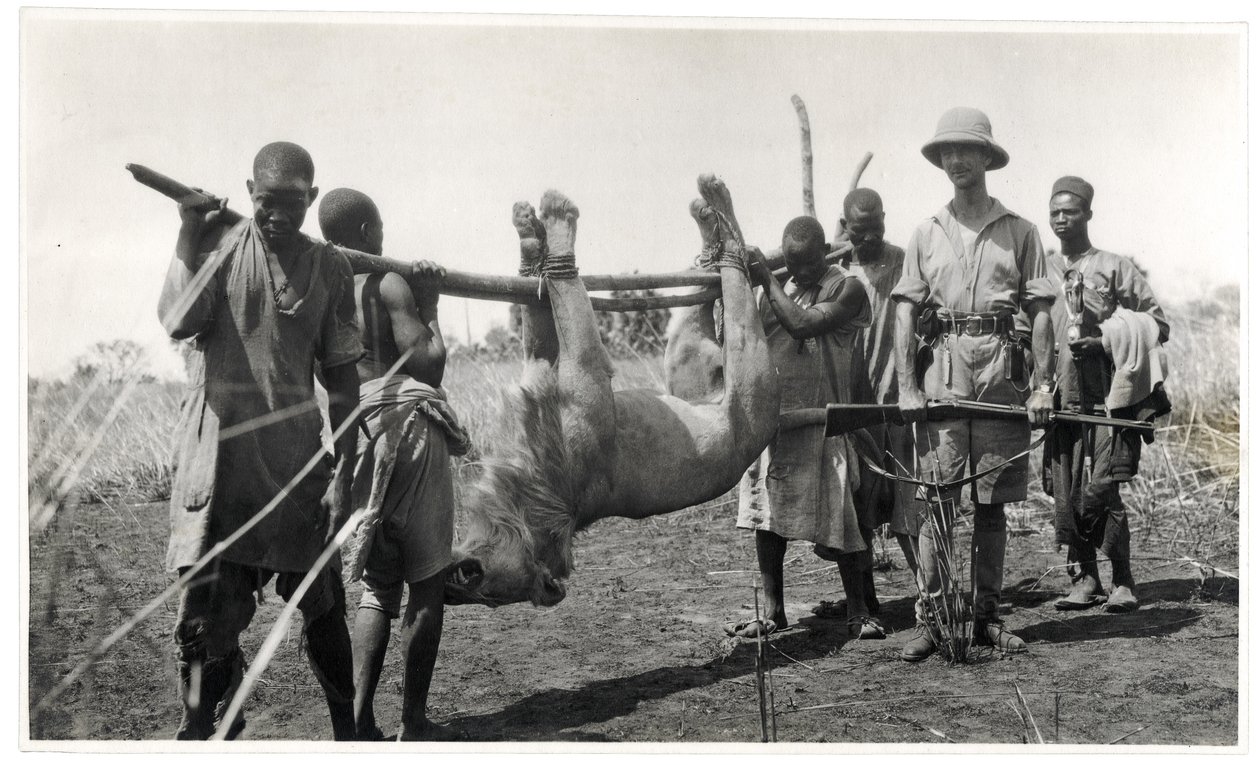 Lion à Bahr el Ghazal, Am Dafok, 1925 - Georges Marie Haardt