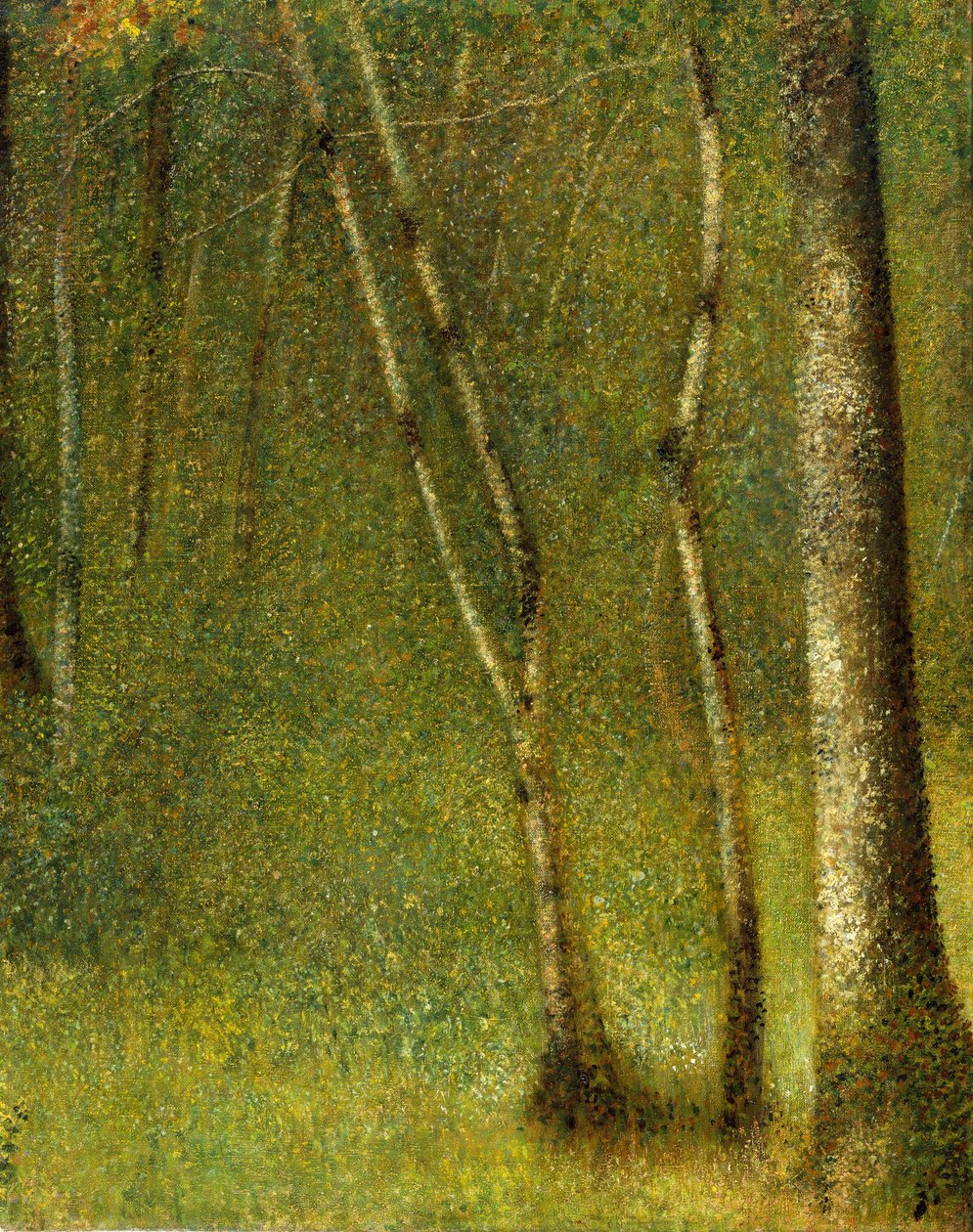 La Forêt à Pontaubert, 1881 - Georges Pierre Seurat