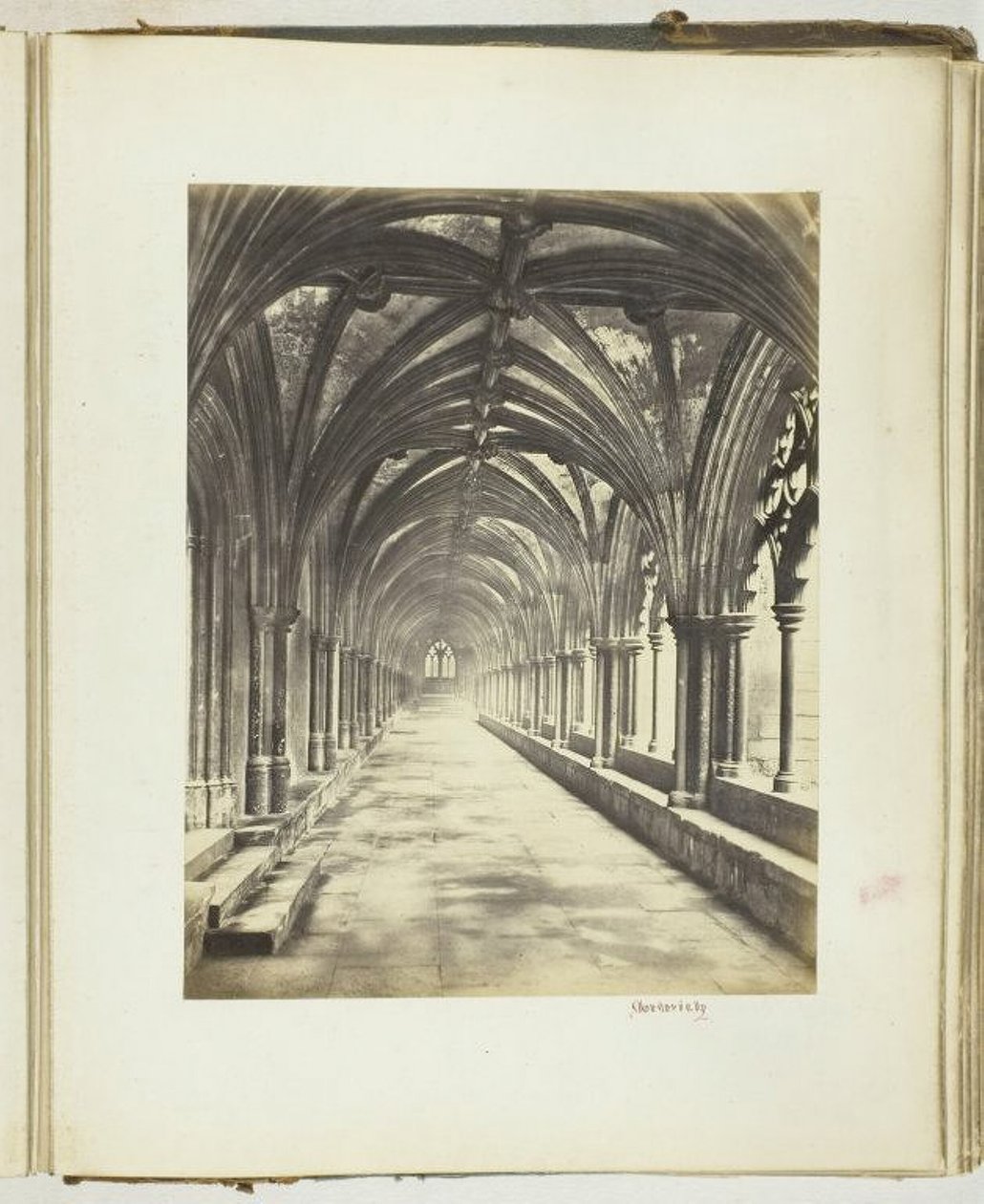 Sans titre [cloîtres], 1868 - Georgina Cowper