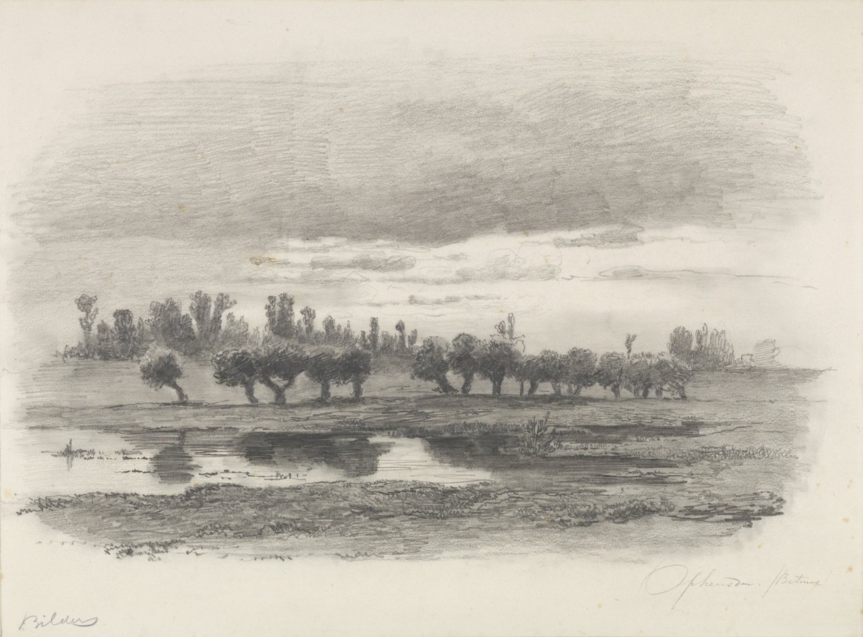 Vue sur les plaines inondables près d
