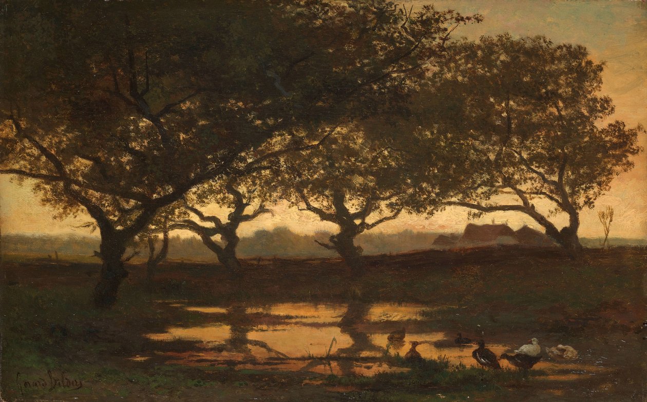 Étang forestier au coucher du soleil - Gerard Bilders