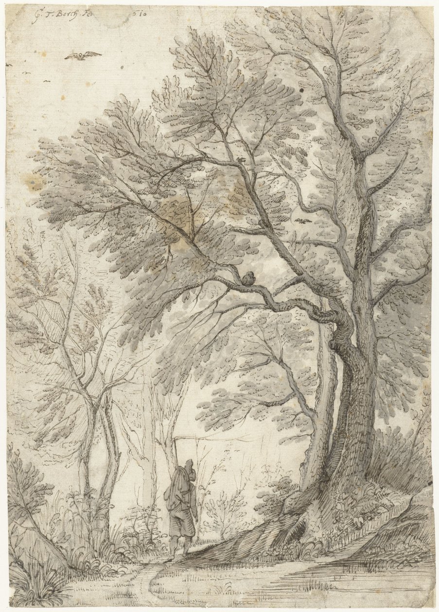 Bois de la Villa Madama près de Rome - Gerard ter Borch