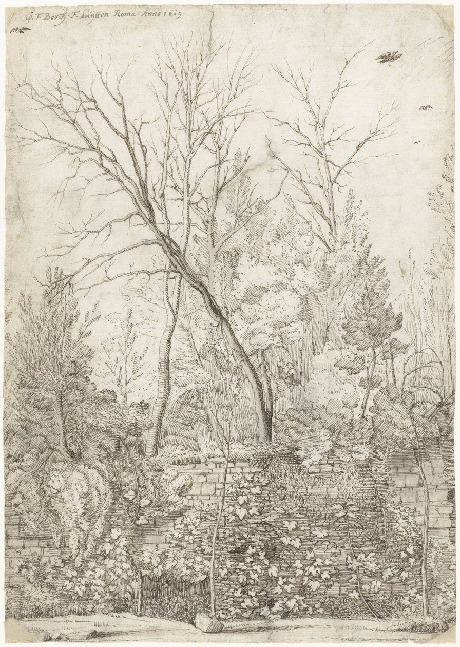 Jardin de la Villa Madama, près de Rome - Gerard ter Borch