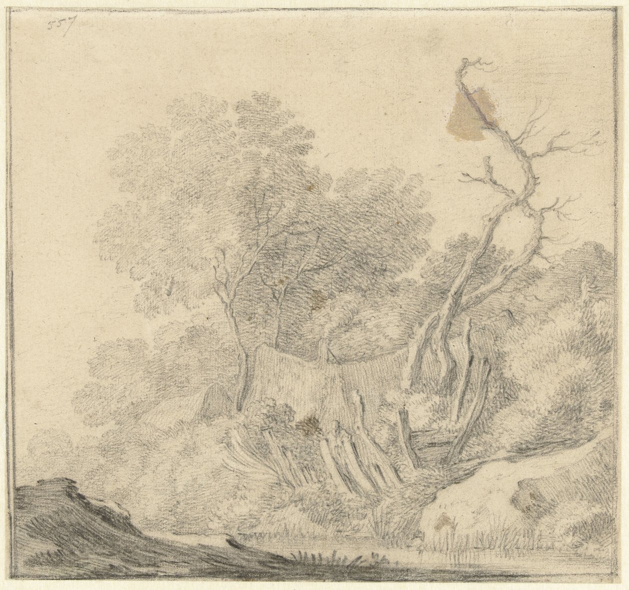 Maisons entre des arbres près de l