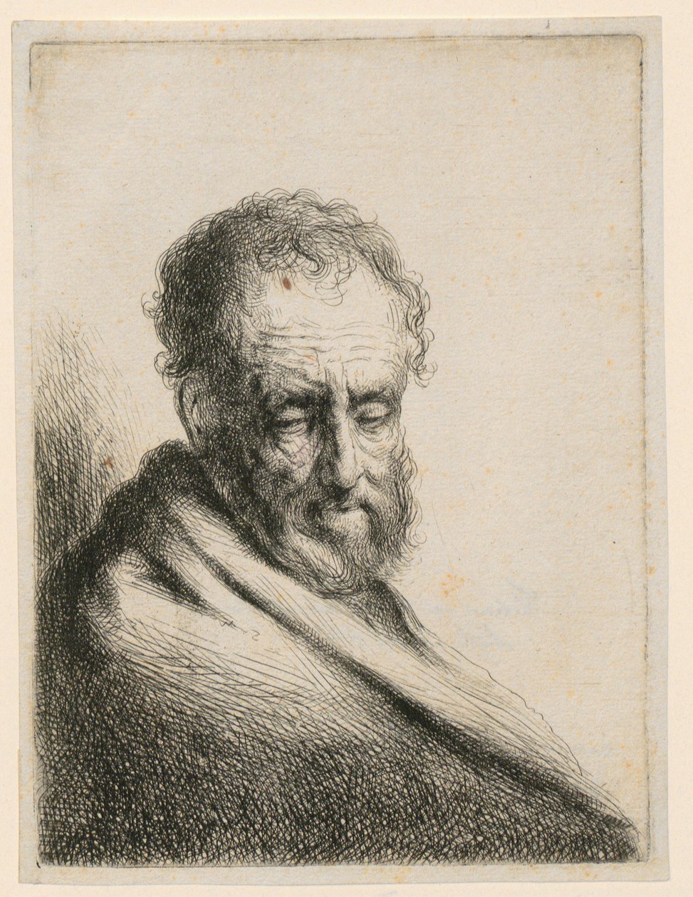 Vieil homme à la barbe - Gerbrand van den Eeckhout