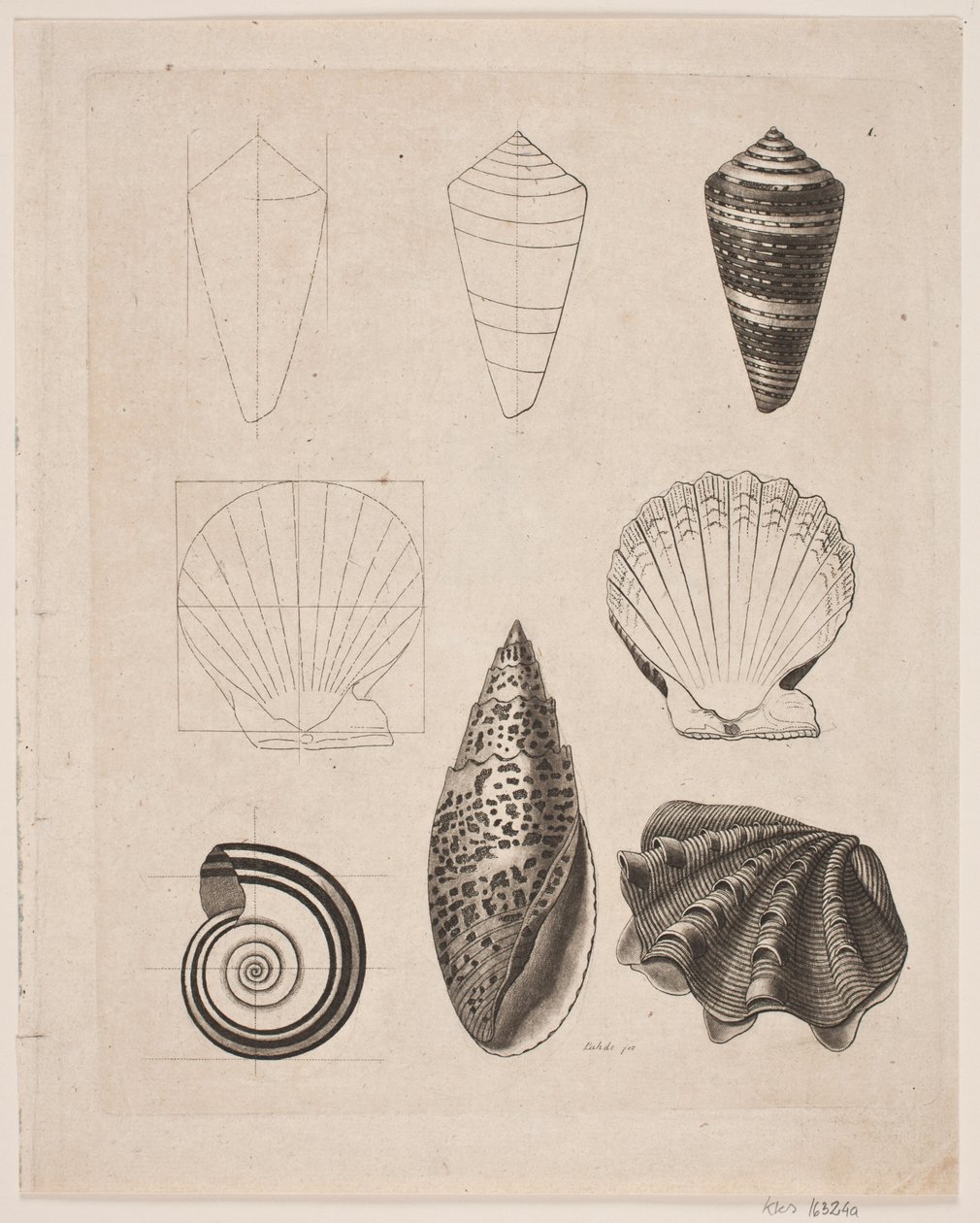 Tableau avec des escargots - Gerhard Ludvig Lahde